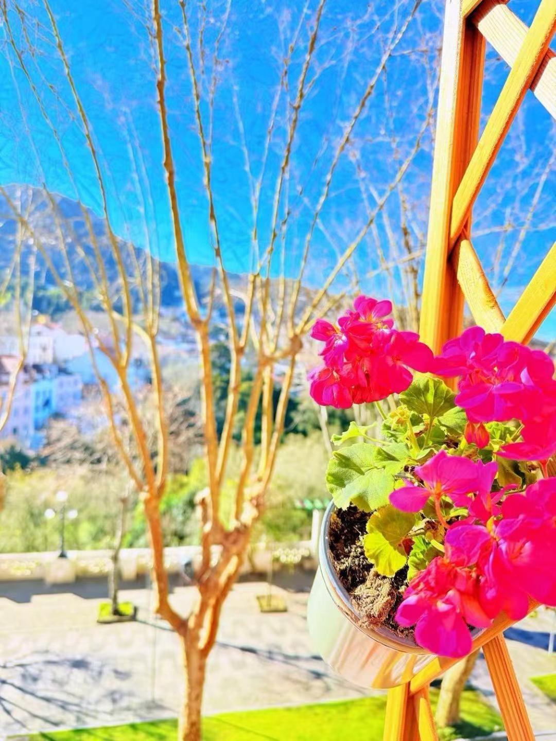 Happy Sintra Inn 외부 사진